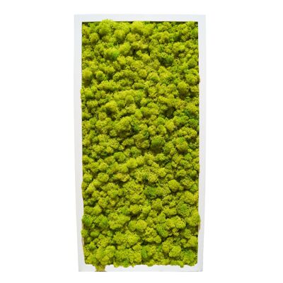 Vert citron - 122 x 61 cm - Cadre en plastique noir