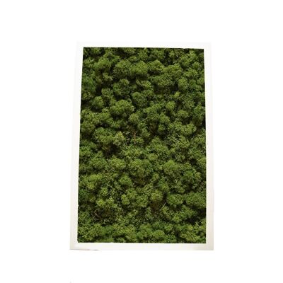 Vert Forêt - 30,5 x 61 cm - Cadre plastique blanc