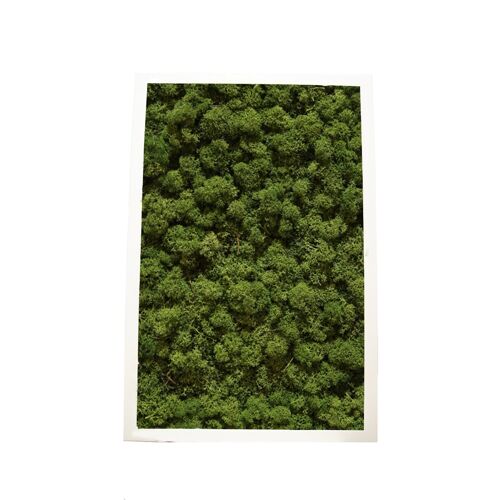 Forest Green - 30,5 x 61 cm - Kunststoffrahmen Schwarz