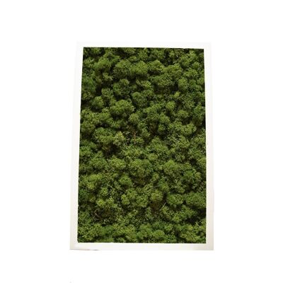 Verde bosco - 30,5 x 61 cm - Cornice in plastica nera