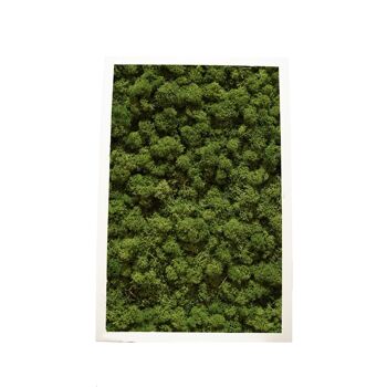 Vert Forêt - 30,5 x 61 cm - Cadre plastique noir 1