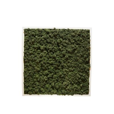 Verde bosco - 61 x 61 cm - Cornice in plastica nera