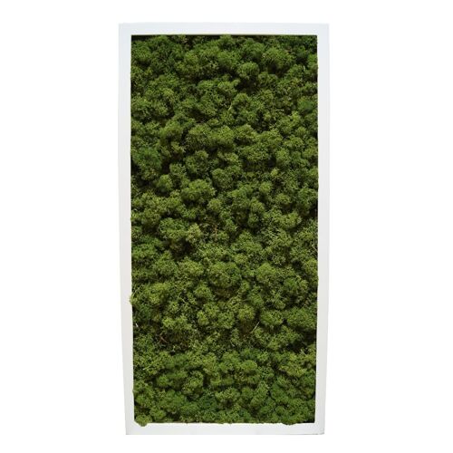 Forest Green - 122 x 61 cm - Kunststoffrahmen Weiß