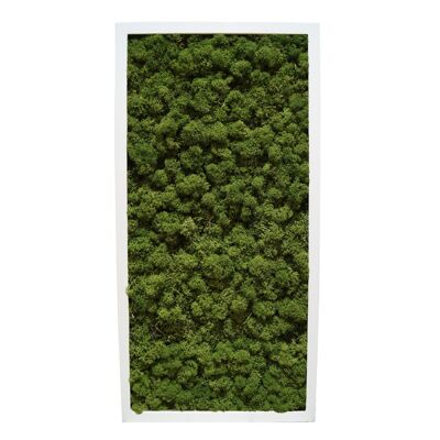 Verde bosco - 122 x 61 cm - Cornice in plastica bianca