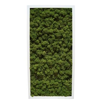 Vert Forêt - 122 x 61 cm - Cadre plastique blanc 1