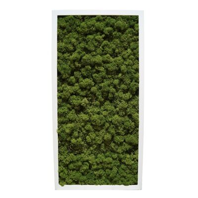 Forest Green - 122 x 61 cm - Kunststoffrahmen Schwarz