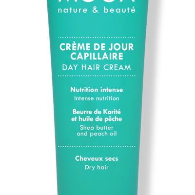 Leave-in hair day cream