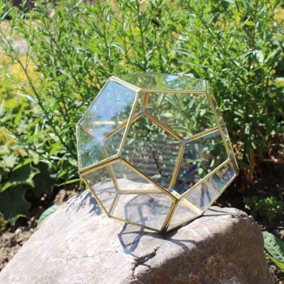 Geometrisches Terrarium aus Glas, Kugel