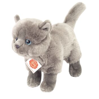 Chat chartreux debout 20 cm - peluche - peluche 1