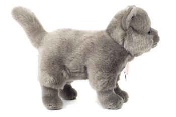 Chat chartreux debout 20 cm - peluche - peluche 9