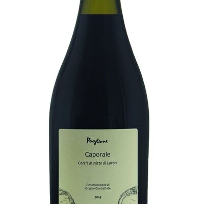 Caporale - Vino Naturale