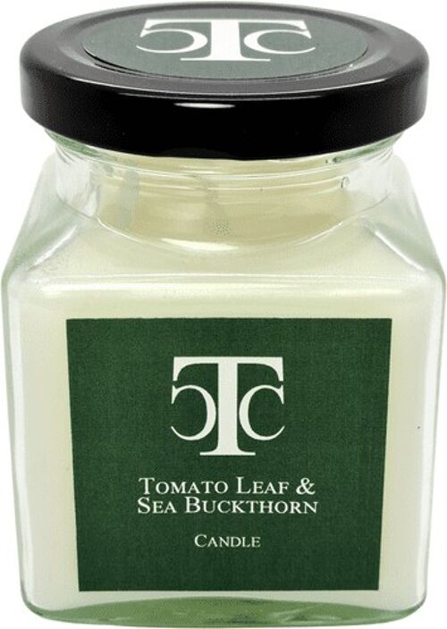 Tomato Leaf & Sea Buckthorn Scented Candle Jar 40 hour
