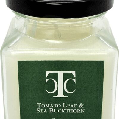 Tomato Leaf & Sea Buckthorn Scented Candle Jar 40 hour