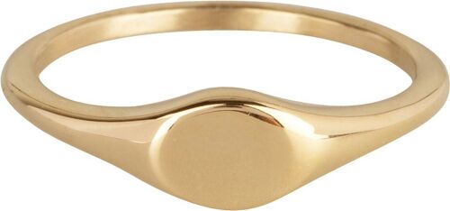 R976 Signet ring petite oval gold