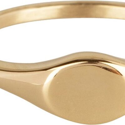 R976 Signet ring petite oval gold
