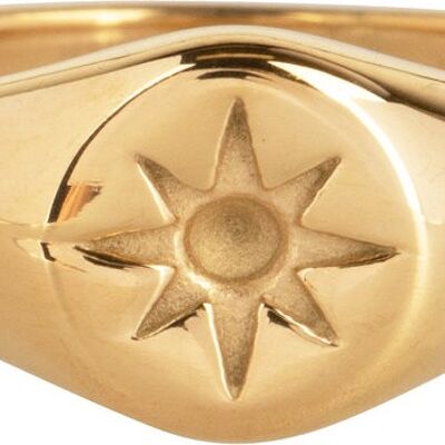 Anello in acciaio placcato oro R1002 Mini Star Seal