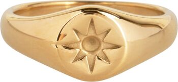 Bague en acier plaqué or R1002 Mini Star Seal 1