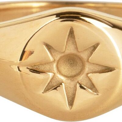 Anello in acciaio placcato oro R1002 Mini Star Seal