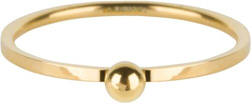 R529 Dot Ring Gold Steel