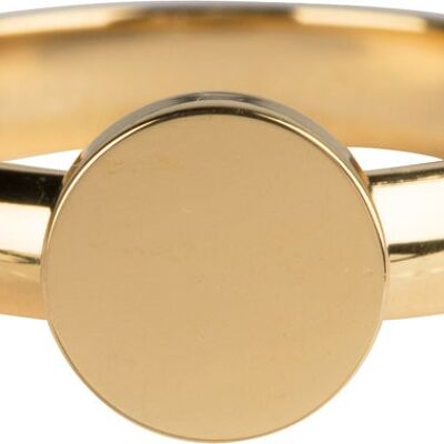 R827 Pudgy Seal Ring Round Gold Steel