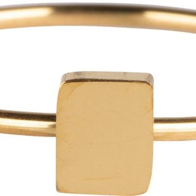 R721 Minimalist Rectangle Gold Steel