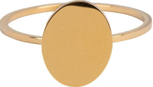 R715 Modern Oval Gold Steel