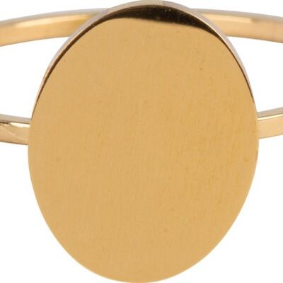 R715 Modern Oval Gold Steel