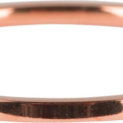 R694 Basic Petite Rose Gold Steel