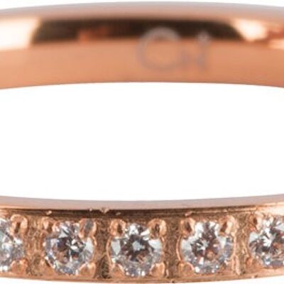 R640 Moiety Crystals Rose Gold Steel