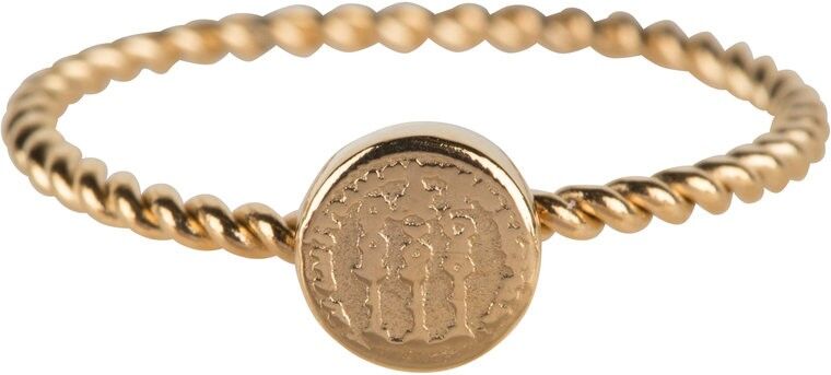 R627 Moneta storica in acciaio dorato intrecciato Charmin's Steel