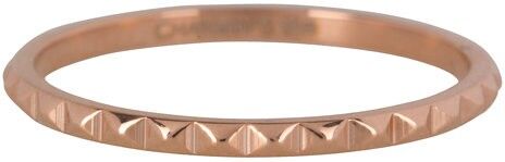 R404 ROSA 'STEEL NEFERTITI'