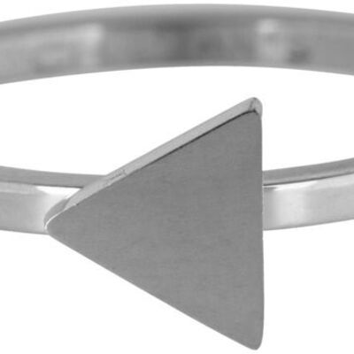 R394 Steel 'Shiny Triangle'