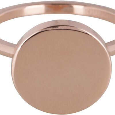 R387 Sceau de mode en acier rose