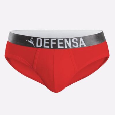 Red Defense Brief