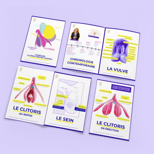 8 Fiches pédagogiques - Anatomie du clitoris, de la vulve et des seins - Version 🇫🇷  🇬🇧  🇪🇸