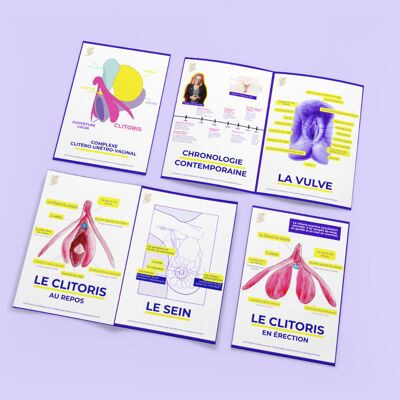 8 Schede didattiche - Anatomia del clitoride, vulva e seno - Versione 🇫🇷 🇬🇧 🇪🇸