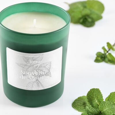 Natural candle Souvenirs of Mint