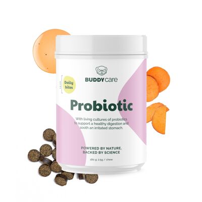 Bouchées probiotiques