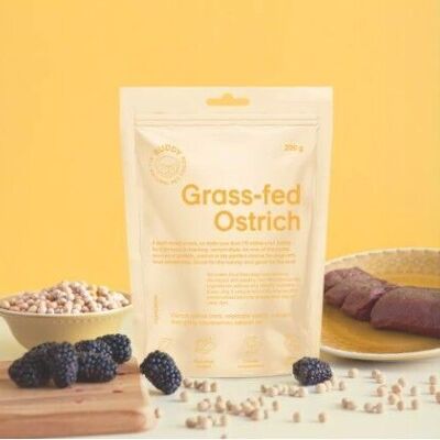 Semi-moist Snack Ostrich With Blackberries 200g