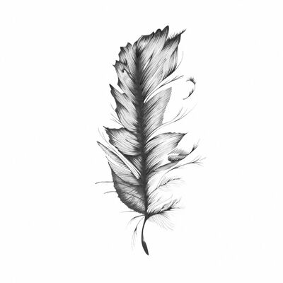 Biro/Pencil Feather, Fine Art Print , A5