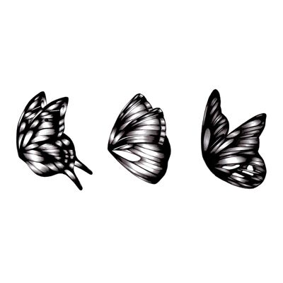 Butterfly Trio, Fine Art Print , A4
