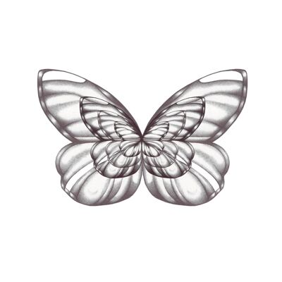 Butterfly Opacity, Fine Art Print ,