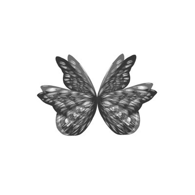 Butterfly Wings Opacity, Fine Art Print , A5