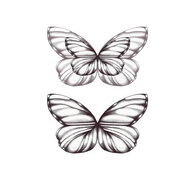 Pencil Butterflies, Fine Art Print , A5
