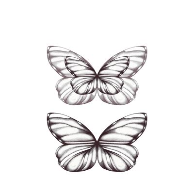 Pencil Butterflies, Fine Art Print , A4