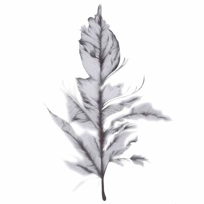 Pencil Feather, Fine Art Print , A5