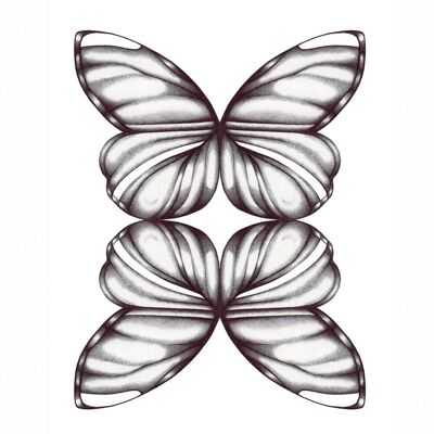 Reflective Butterflies, Fine Art Print , A4