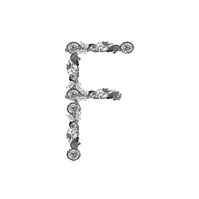 Alphabet Typography Letter F Fine Art Print , A4