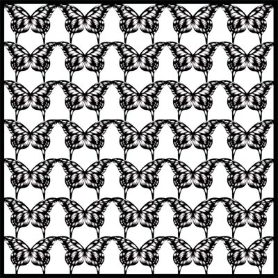 Butterfly Biro, Black & White Silk Scarf ,