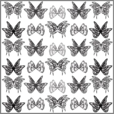 Butterfly Opacity, Silk Scarf ,